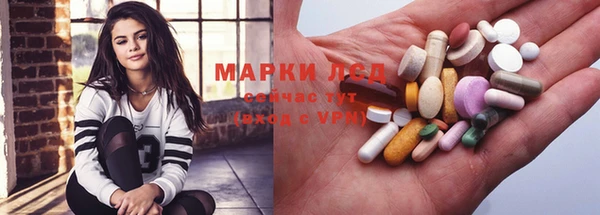 шишки Беломорск