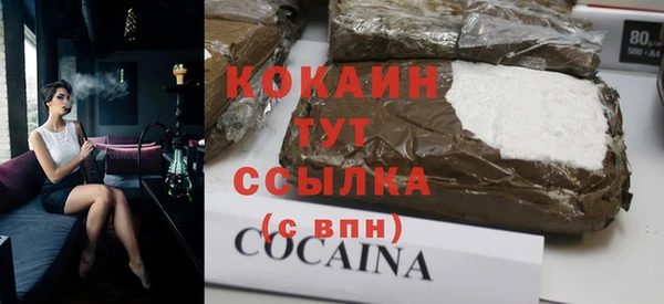 шишки Беломорск