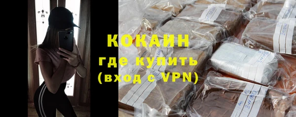 шишки Беломорск