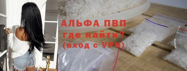 шишки Беломорск