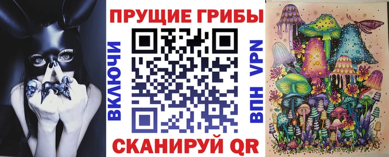 Галлюциногенные грибы Psilocybe  Шенкурск 