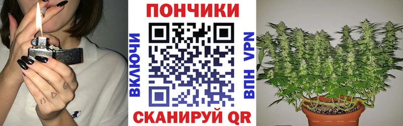 МАРИХУАНА Bruce Banner  darknet состав  Шенкурск 